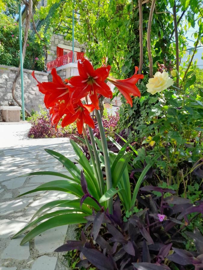 Stone House In Buljarica Villa Petrovac Екстериор снимка